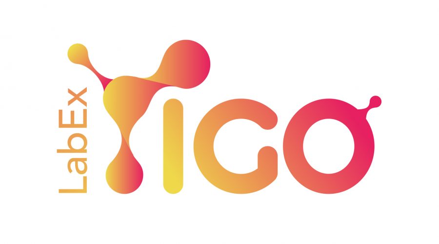 LabEx IGO_logo 2020